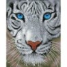 Kit DIAMOND DOTZ® Tigre blanc magique