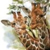 Kit DIAMOND DOTZ® Tendres Girafes