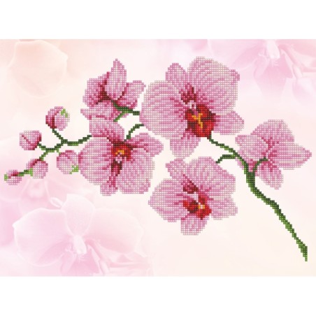 Kit DIAMOND DOTZ® Senteur d'Orchidée