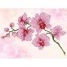 Kit DIAMOND DOTZ® Senteur d'Orchidée