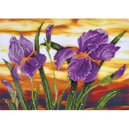 Kit DIAMOND DOTZ® Iris au coucher du soleil