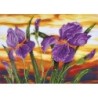 Kit DIAMOND DOTZ® Iris au coucher du soleil