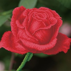 Kit DIAMOND DOTZ® Rose