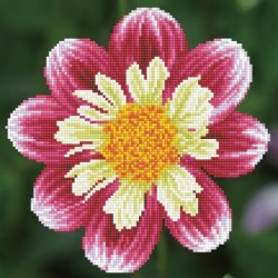 Kit DIAMOND DOTZ® Fleur Daisy