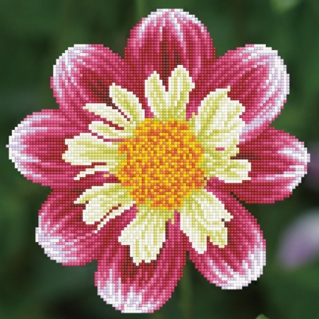 Kit DIAMOND DOTZ® Fleur Daisy