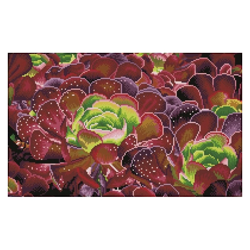 DIAMOND DOTZ® Carré  Cactus Succulente