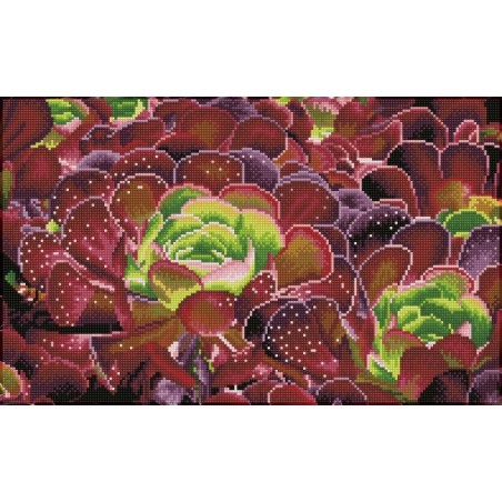 DIAMOND DOTZ® Carré Cactus Succulente