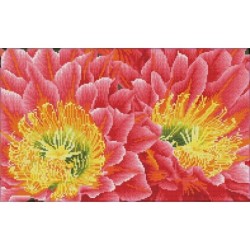 DIAMOND DOTZ® Carré  Fleur...