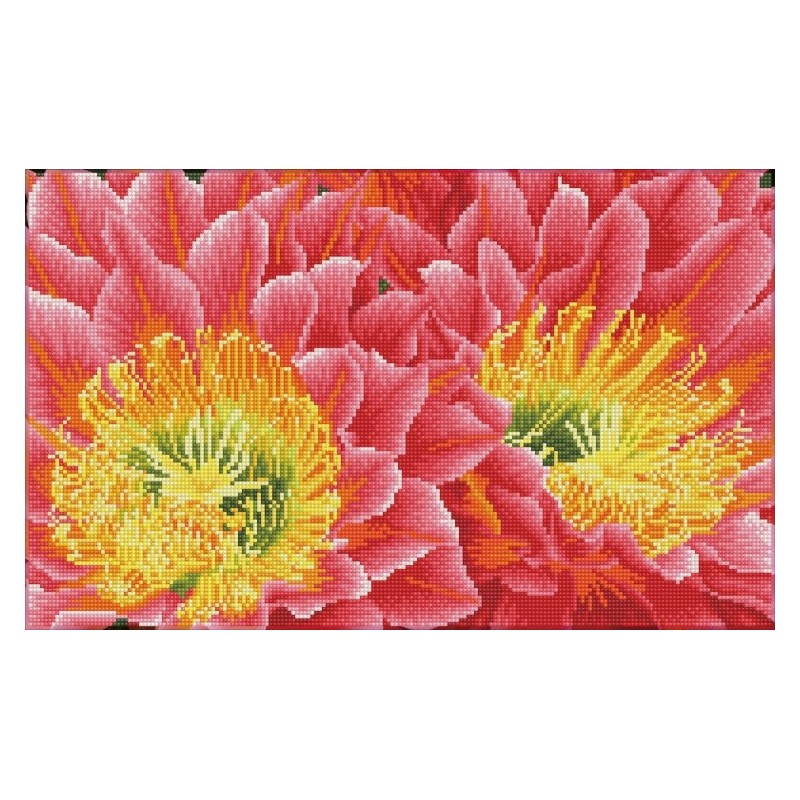 DIAMOND DOTZ® Carré  Fleur du désert - Intermédiaire