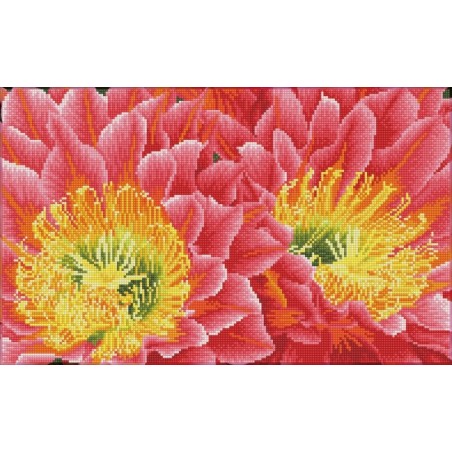 DIAMOND DOTZ® Carré Fleur du désert - Intermédiaire