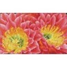 DIAMOND DOTZ® Carré  Fleur du désert - Intermédiaire