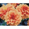 DIAMOND DOTZ® Carré Bouquet de Dahlias - Intermédiaire