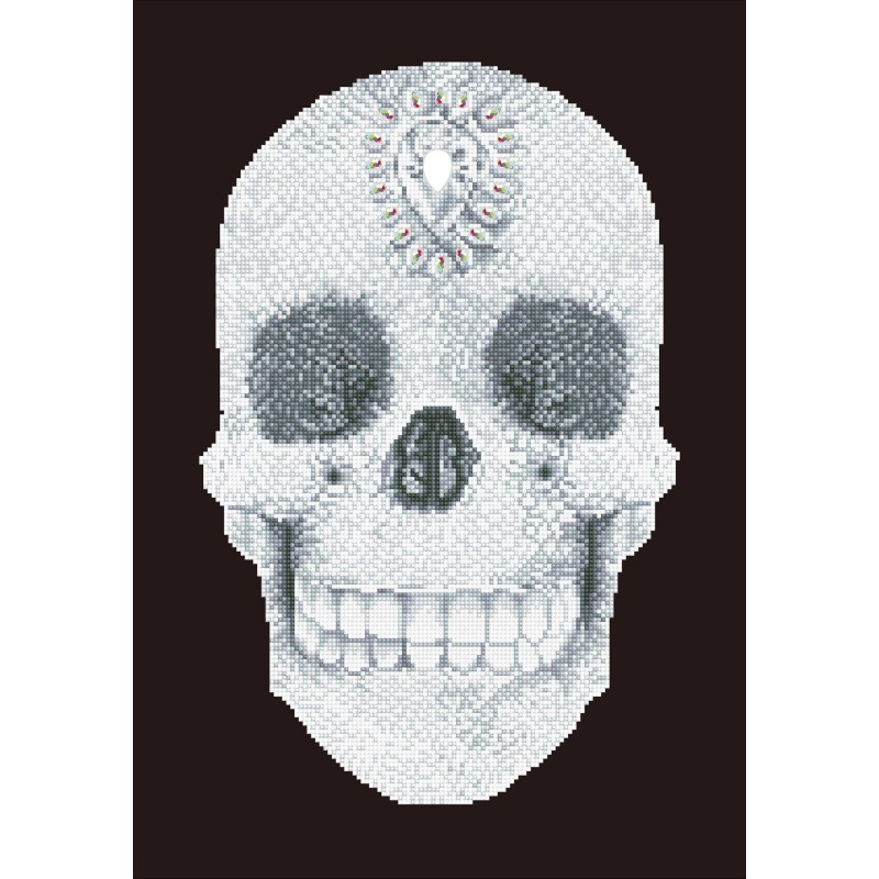 Kit DIAMOND DOTZ® le Crâne de Cristal