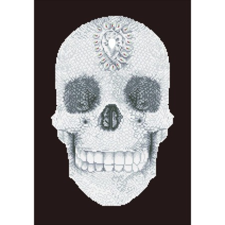 Kit DIAMOND DOTZ® le Crâne de Cristal