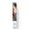 Kit DIAMOND DOTZ® La femme à l'éventail (Klimt)
