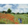 Kit DIAMOND DOTZ® Champ de coquelicots (Monet)