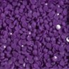 Boîte "Dotz" DIAMOND DOTZ® 12g - Purple (8101)
