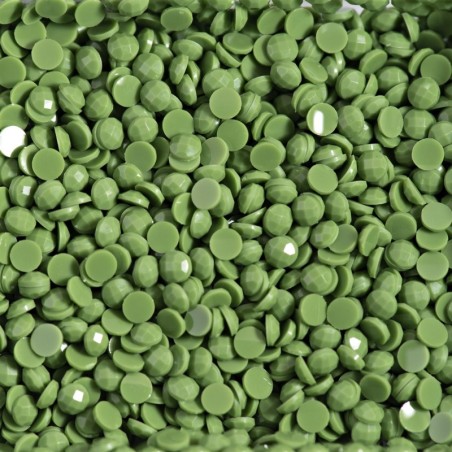 Boîte "Dotz" DIAMOND DOTZ® 12g - Fern (8233)