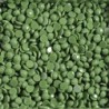 Boîte "Dotz" DIAMOND DOTZ® 12g - Medium Fern (8234)
