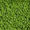 Boîte "Dotz" DIAMOND DOTZ® 12g - Vert grenouille (8249)