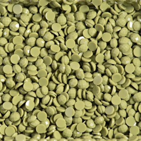 Boîte "Dotz" DIAMOND DOTZ® 12g - Lichen (8253)
