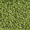 Boîte "Dotz" DIAMOND DOTZ® 12g - Pickle Green (8254)