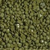 Boîte "Dotz" DIAMOND DOTZ® 12g - Dark May Green (8277)