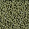 Boîte "Dotz" DIAMOND DOTZ® 12g - Dark Eucalypt (8281)