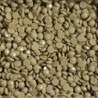 Boîte "Dotz" DIAMOND DOTZ® 12g - Green Gold (8284)
