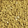 Boîte "Dotz" DIAMOND DOTZ® 12g - Gold (8286)