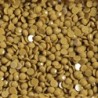 Boîte "Dotz" DIAMOND DOTZ® 12g - Deep Gold (8287)