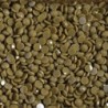 Boîte "Dotz" DIAMOND DOTZ® 12g - Dark Kakhi (8289)