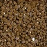 Boîte "Dotz" DIAMOND DOTZ® 12g - Bronze (8290)
