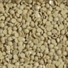 Boîte "Dotz" DIAMOND DOTZ® 12g - Linen (8296)