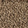 Boîte "Dotz" DIAMOND DOTZ® 12g - Fawn (8297)