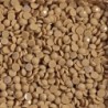 Boîte "Dotz" DIAMOND DOTZ® 12g - Pale Ginger (8310)
