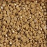 Boîte "Dotz" DIAMOND DOTZ® 12g - Golden Ginger (8312)