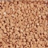 Boîte "Dotz" DIAMOND DOTZ® 12g - Medium Skin Tone (8364)