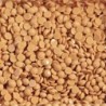 Boîte "Dotz" DIAMOND DOTZ® 12g - Light Tan (8365)