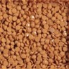 Boîte "Dotz" DIAMOND DOTZ® 12g - Mid Tan (8366)