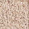 Boîte "Dotz" DIAMOND DOTZ® 12g - Pampas (8395)