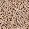 Boîte "Dotz" DIAMOND DOTZ® 12g - Pale Donkey (8407)