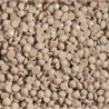 Boîte "Dotz" DIAMOND DOTZ® 12g - Light Clay (8424)
