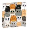 DOTZ® BOX Enfants - Le Clan des Chats