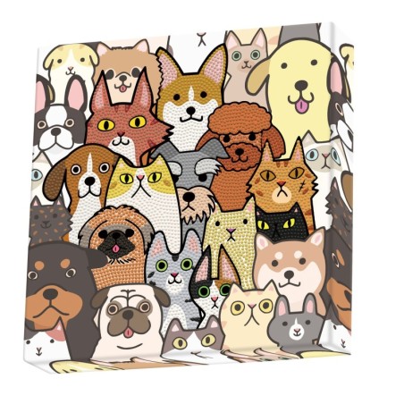 DOTZ® BOX Enfants - Chiens et Chats