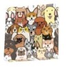 DOTZ® BOX Enfants - Chiens et Chats