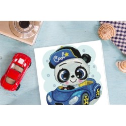 DOTZ® BOX Enfants - le Koala et son bolide