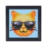 Kit DIAMOND DOTZ® avec cadre Chat cool