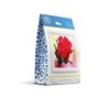 Kit DIAMOND DOTZ® Rose AVEC CADRE