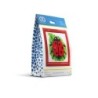 Kit DIAMOND DOTZ® Coccinelle AVEC CADRE